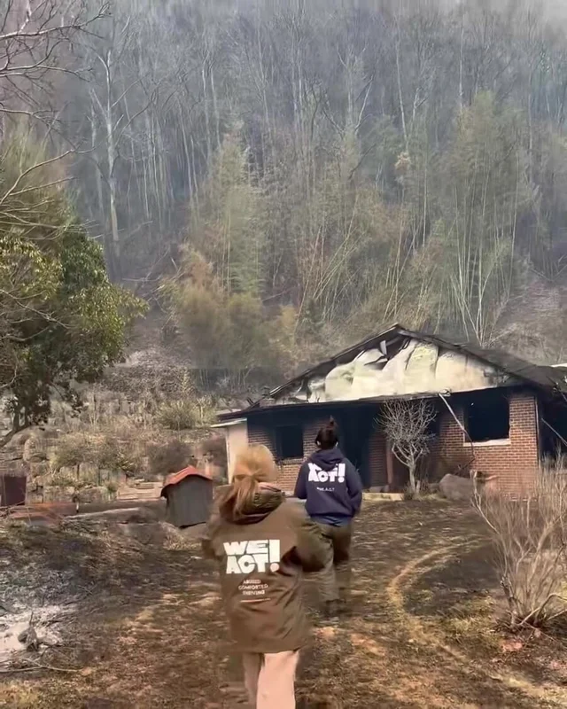 산청 산불 구조 현장 사진