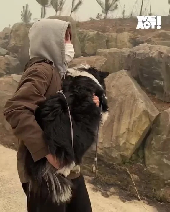 산청 산불 구조 현장 사진