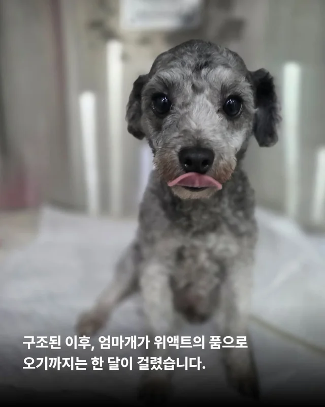 쓰레기 더미 속에서 피어난 생명 현장 사진