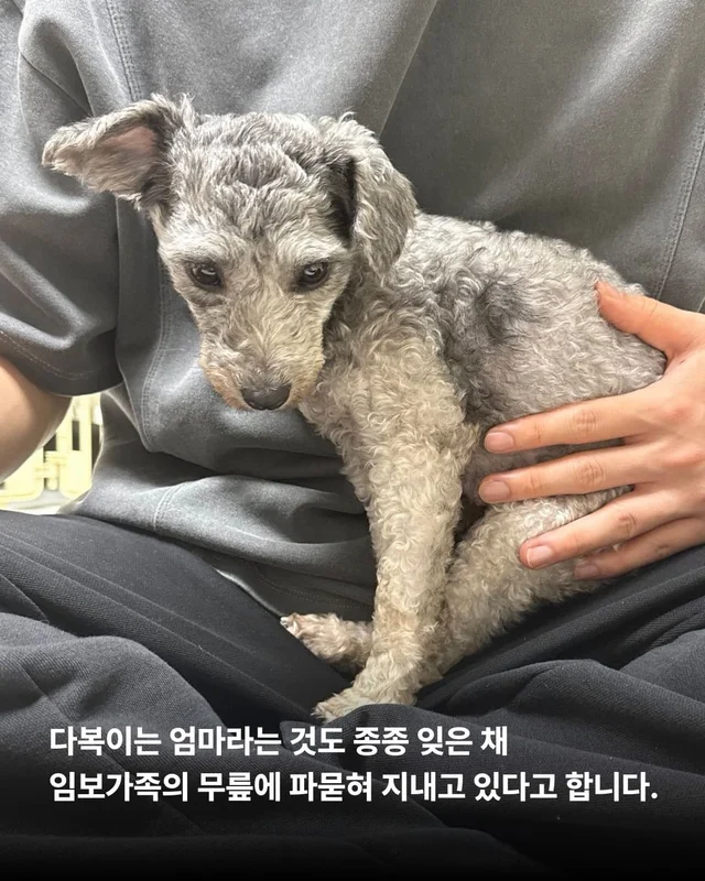쓰레기 더미 속에서 피어난 생명 현장 사진