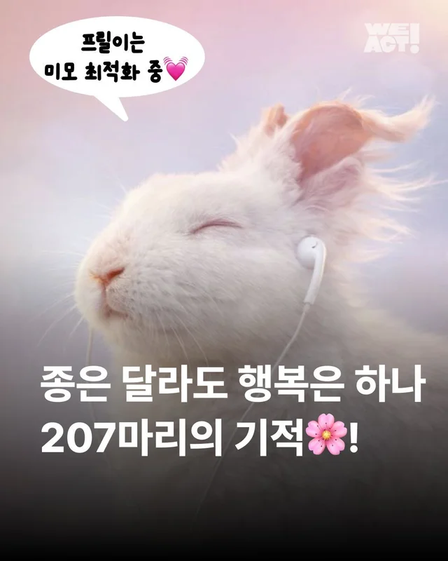 종의 경계를 넘어 시작된 기적 같은 ‘두 번째 삶‘ 현장 사진