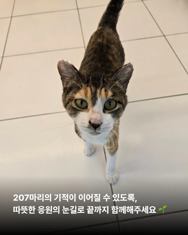 종의 경계를 넘어 시작된 기적 같은 ‘두 번째 삶‘ 현장 사진