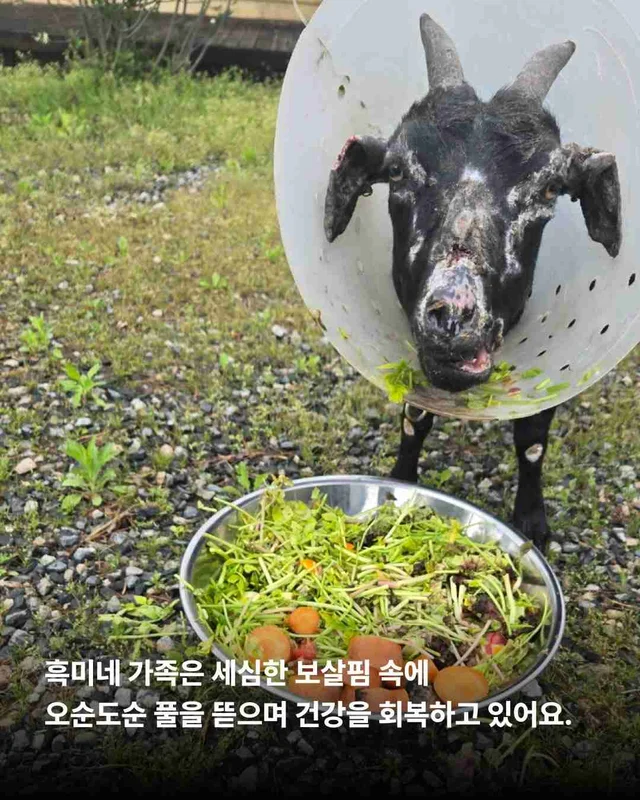 종의 경계를 넘어 시작된 기적 같은 ‘두 번째 삶‘ 현장 사진