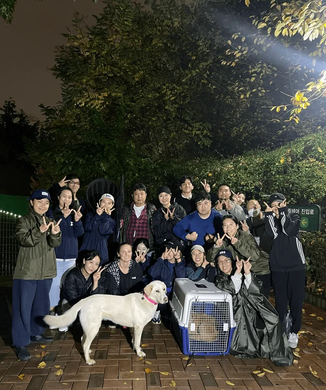 남산누렁이 현장 사진