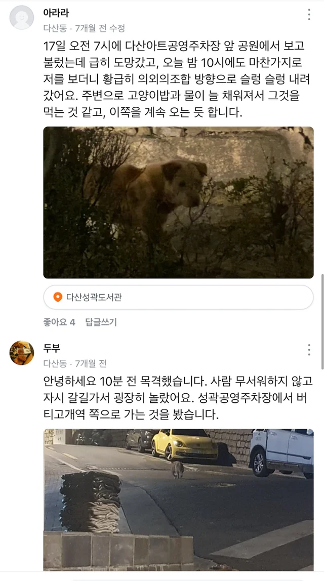 남산누렁이 현장 사진