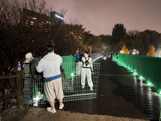 남산누렁이 현장 사진