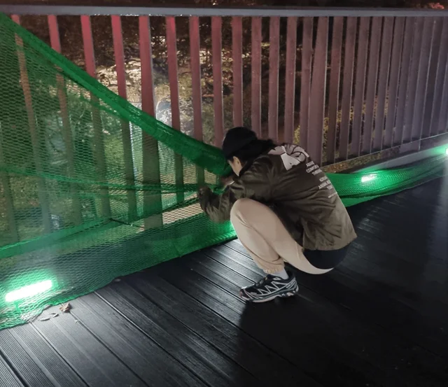 남산누렁이 현장 사진