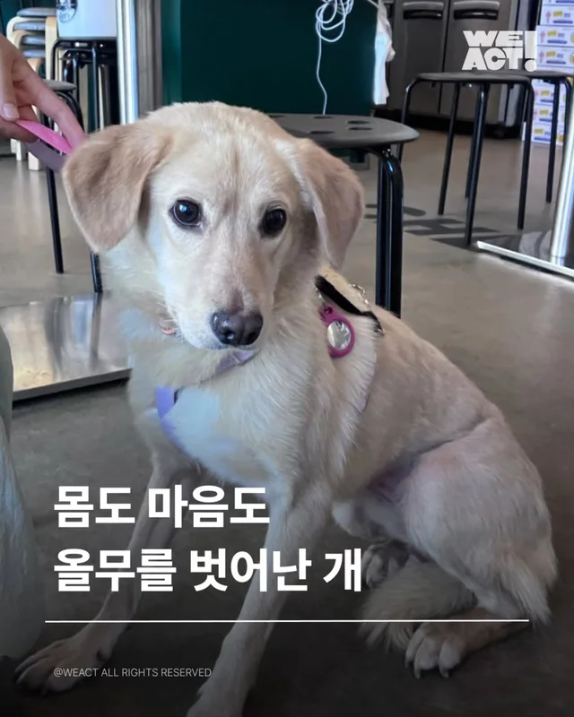 위액트 챈스 현장 사진