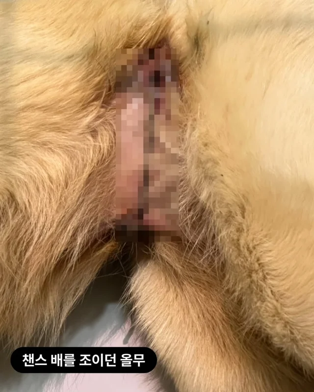 위액트 챈스 현장 사진