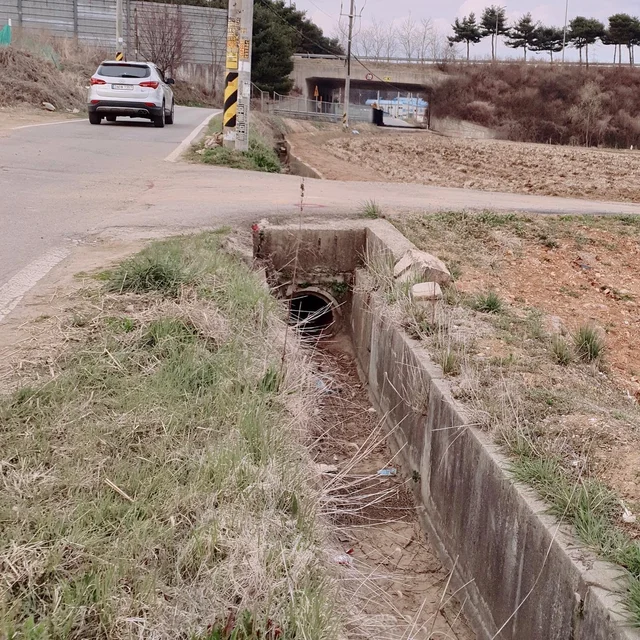 배수로에갇힌개들 현장 사진
