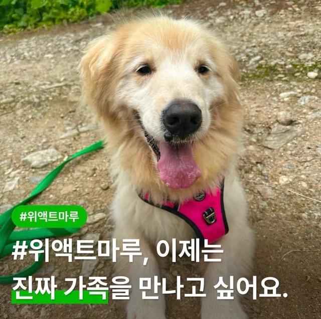 이제는 진짜 가족을 만나고 싶어요 현장 사진
