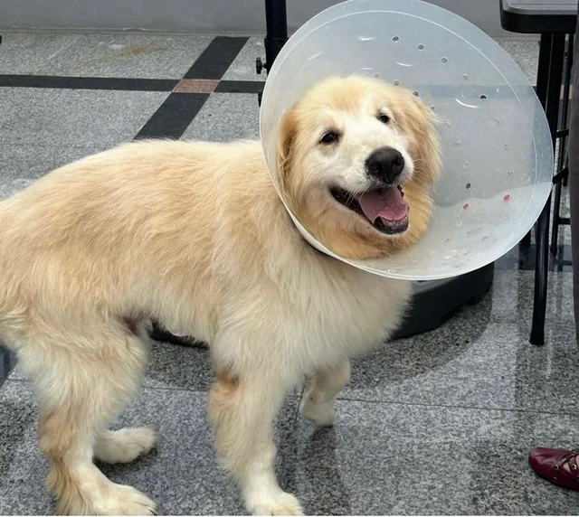 이제는 진짜 가족을 만나고 싶어요 현장 사진