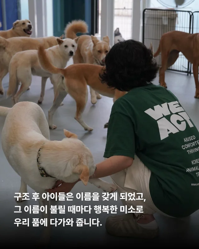 이름을 부를 수 없는 개들 현장 사진