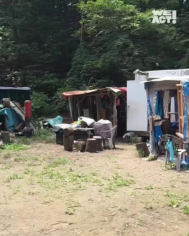트럭에 매달린 개 현장 사진