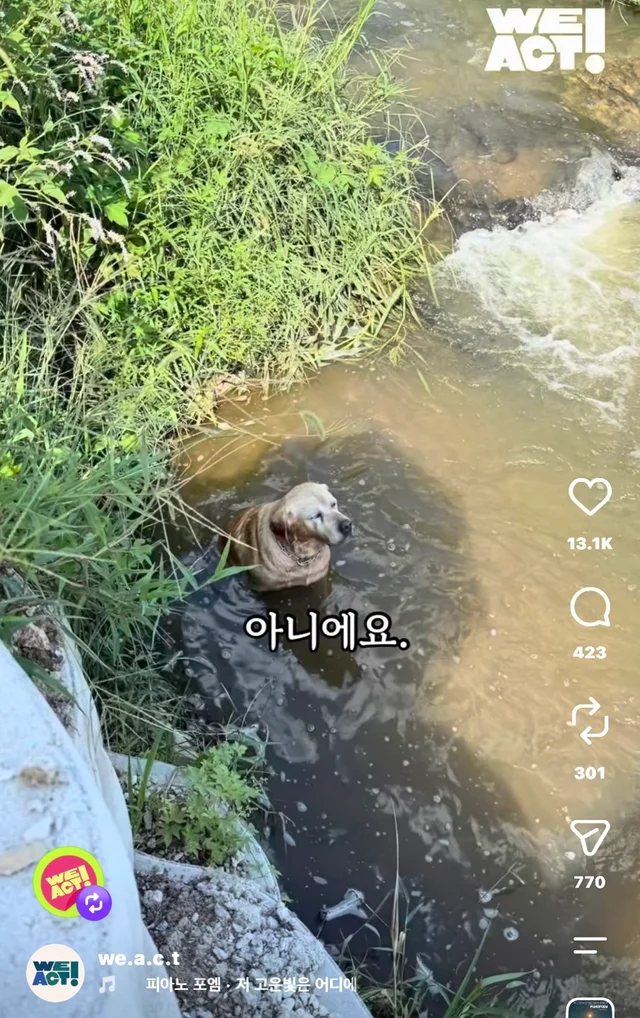 물이 좋아서 여기 있는게 아니예요 현장 사진