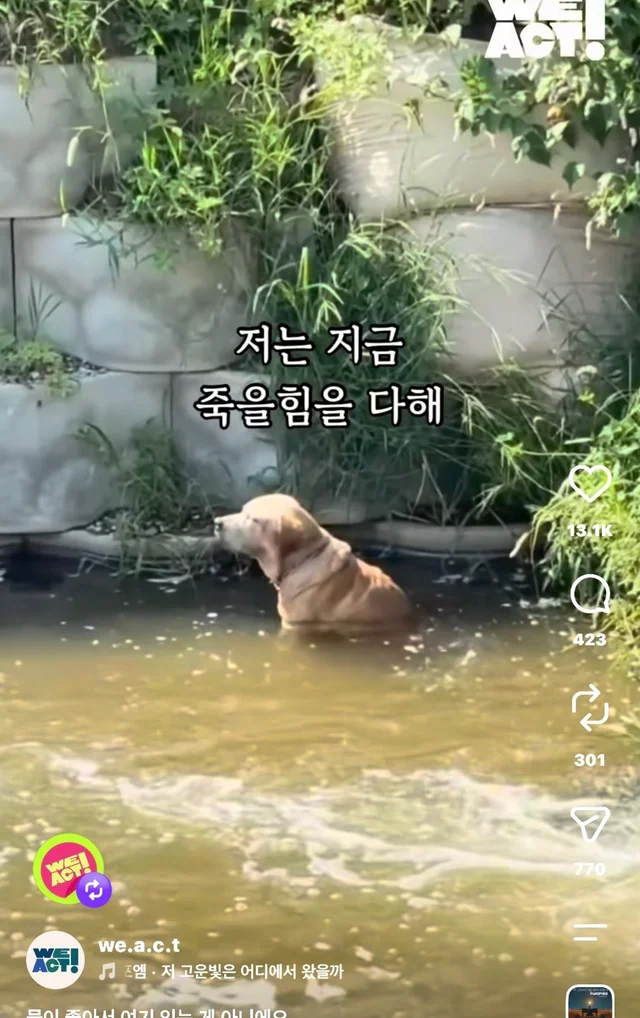 물이 좋아서 여기 있는게 아니예요 현장 사진