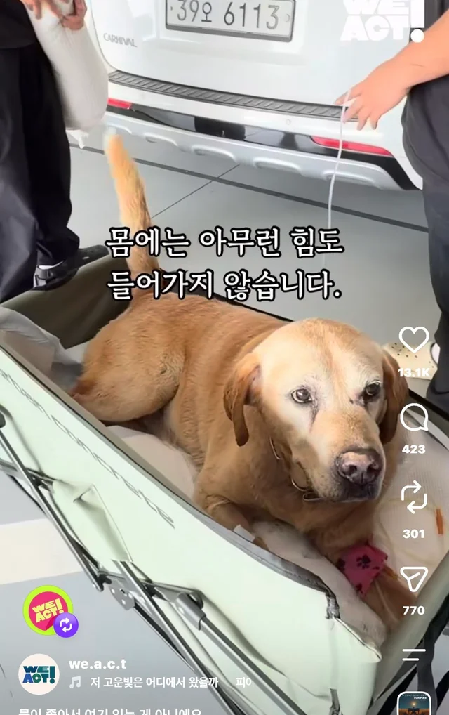 물이 좋아서 여기 있는게 아니예요 현장 사진