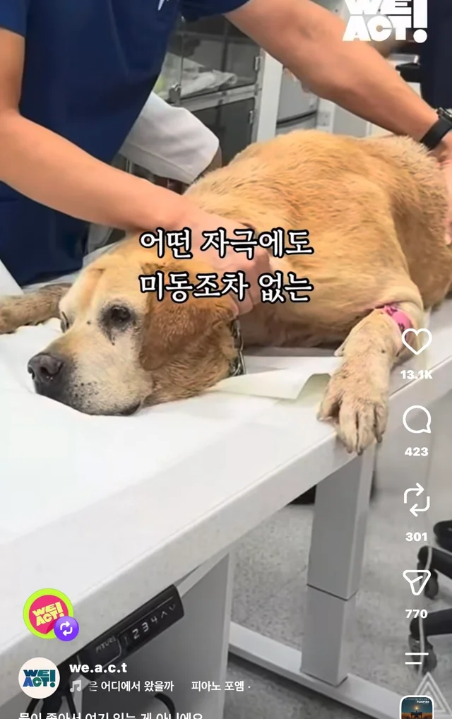 물이 좋아서 여기 있는게 아니예요 현장 사진