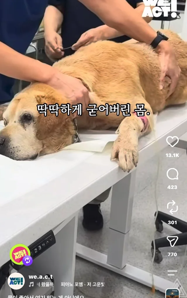 물이 좋아서 여기 있는게 아니예요 현장 사진