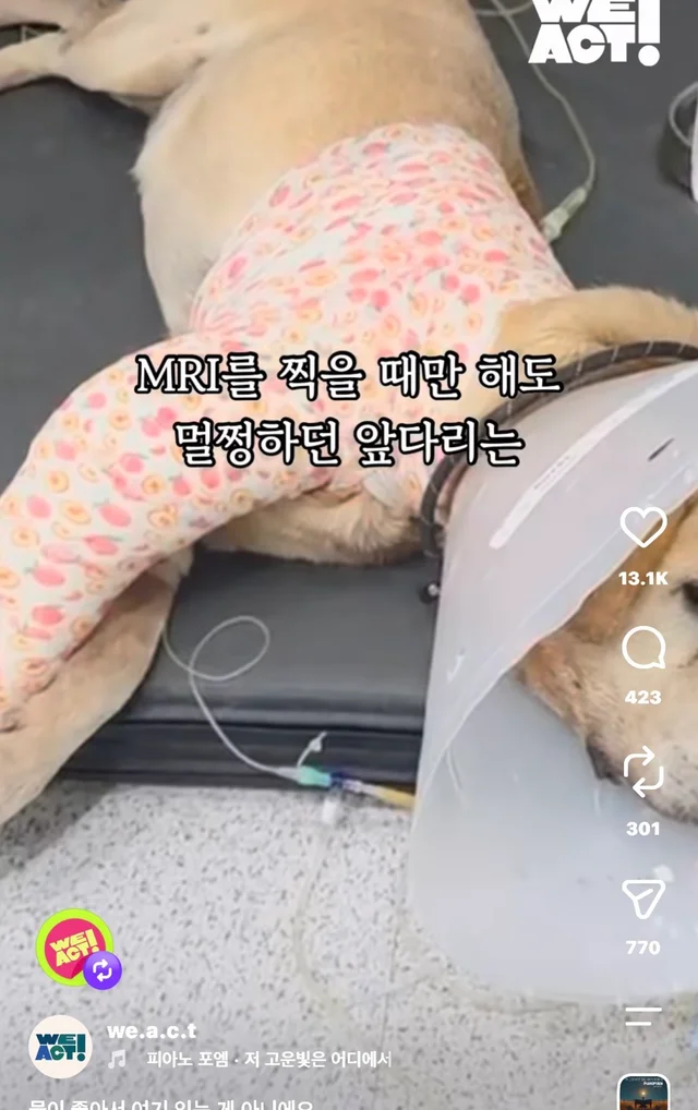 물이 좋아서 여기 있는게 아니예요 현장 사진