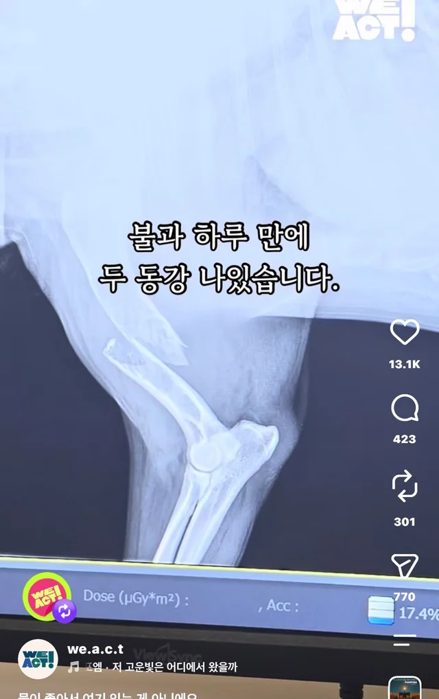 물이 좋아서 여기 있는게 아니예요 현장 사진