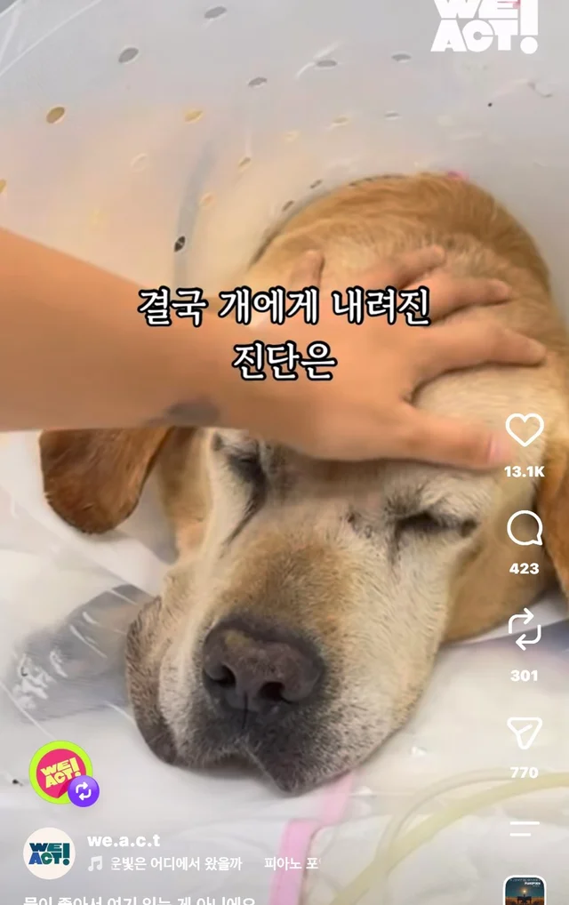 물이 좋아서 여기 있는게 아니예요 현장 사진