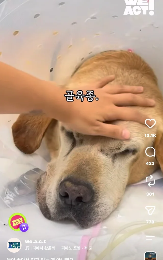 물이 좋아서 여기 있는게 아니예요 현장 사진