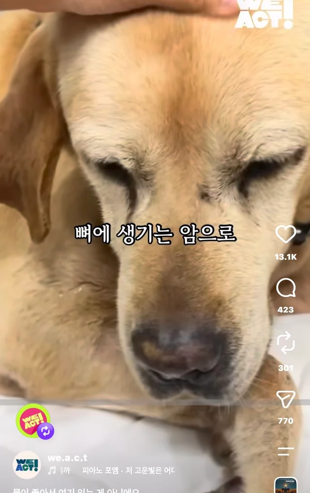 물이 좋아서 여기 있는게 아니예요 현장 사진