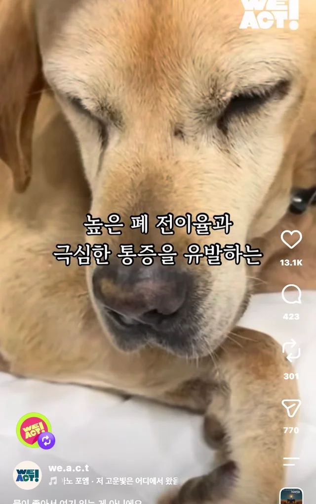 물이 좋아서 여기 있는게 아니예요 현장 사진