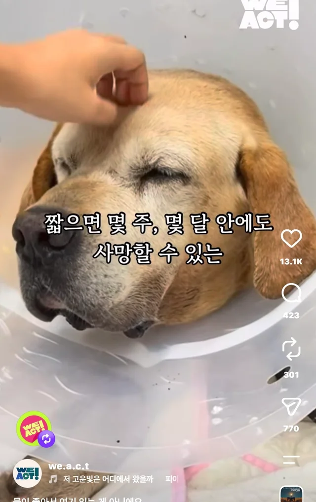 물이 좋아서 여기 있는게 아니예요 현장 사진