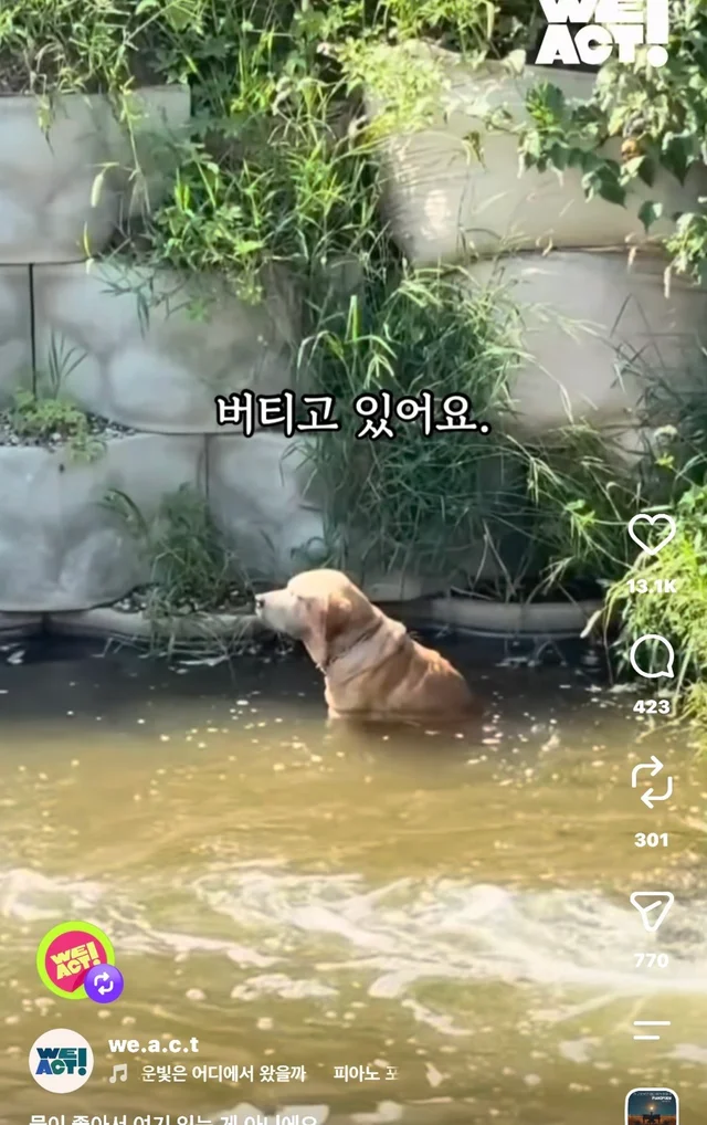 물이 좋아서 여기 있는게 아니예요 현장 사진