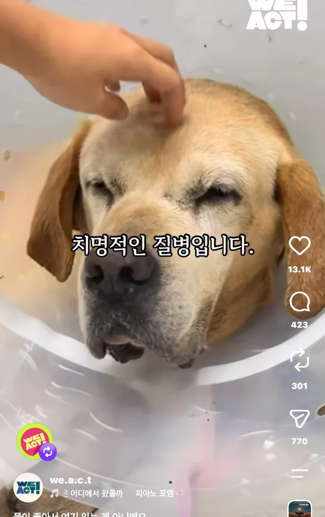 물이 좋아서 여기 있는게 아니예요 현장 사진