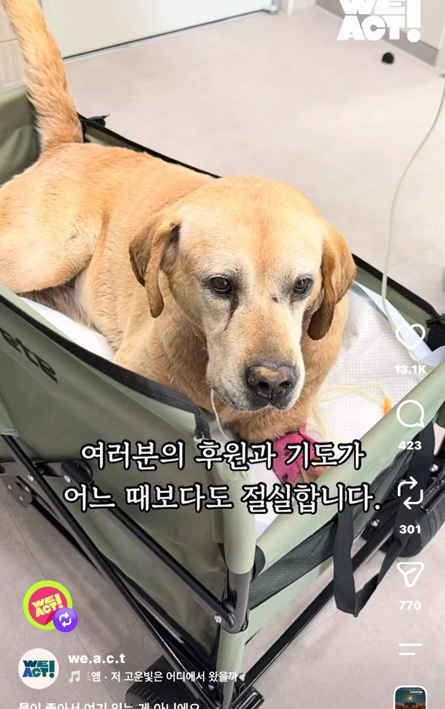 물이 좋아서 여기 있는게 아니예요 현장 사진