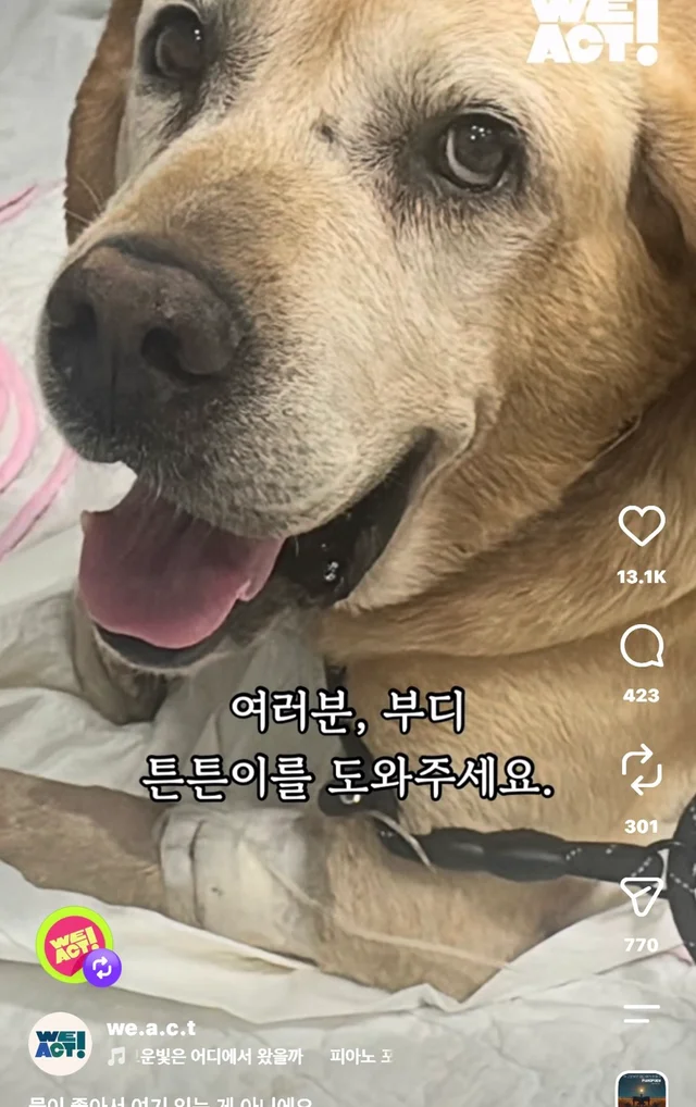물이 좋아서 여기 있는게 아니예요 현장 사진