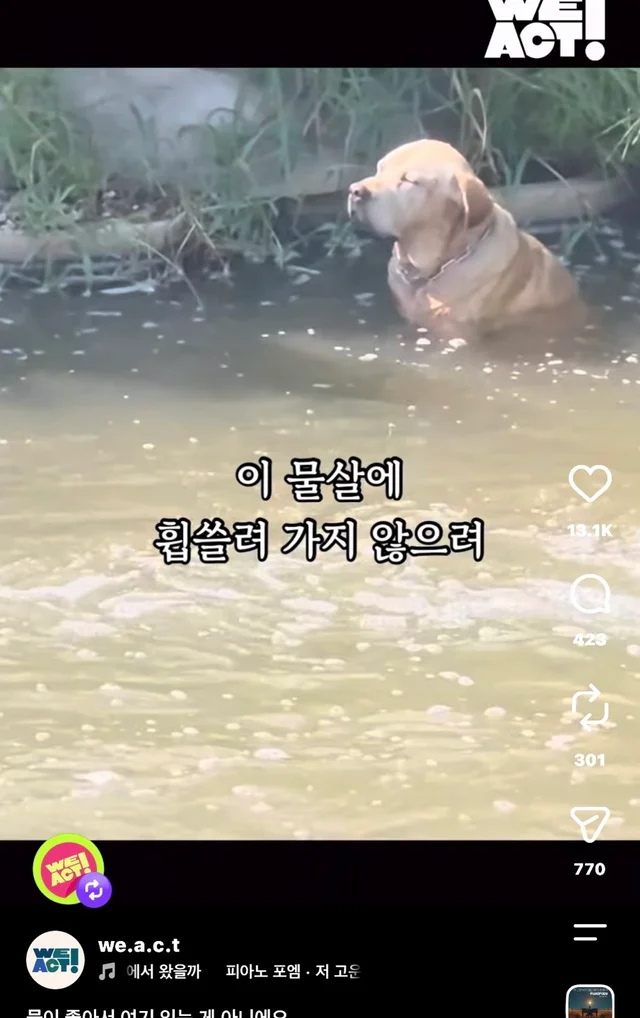 물이 좋아서 여기 있는게 아니예요 현장 사진