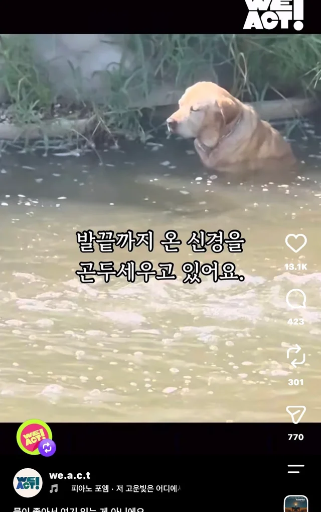 물이 좋아서 여기 있는게 아니예요 현장 사진