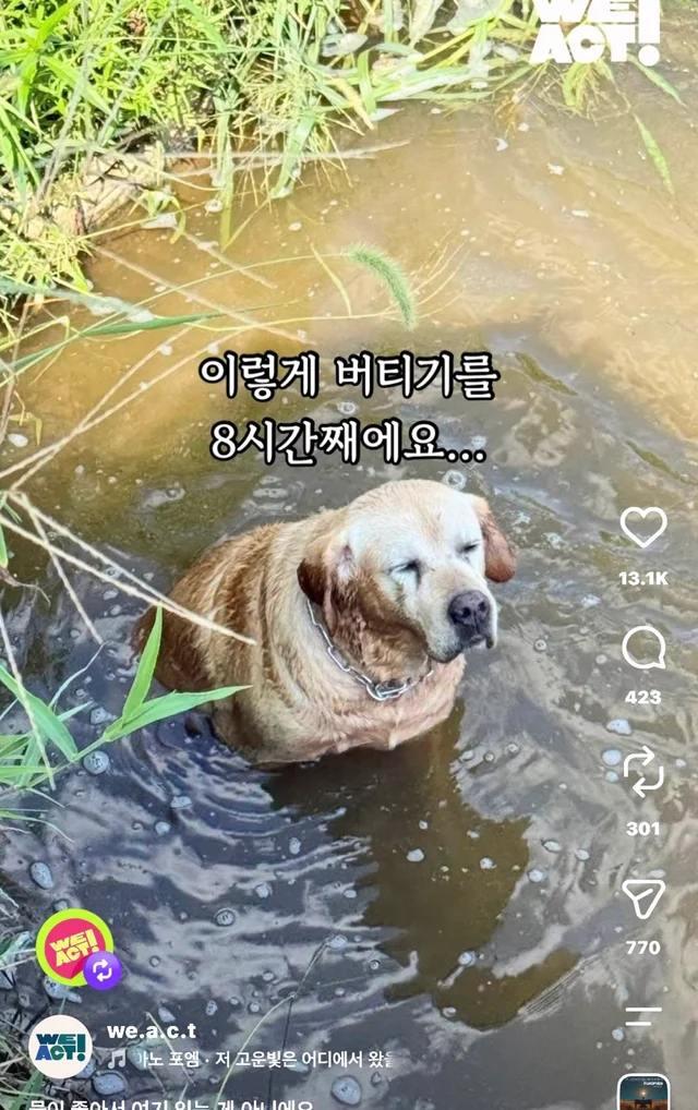 물이 좋아서 여기 있는게 아니예요 현장 사진