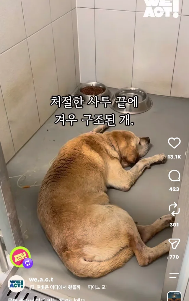 물이 좋아서 여기 있는게 아니예요 현장 사진