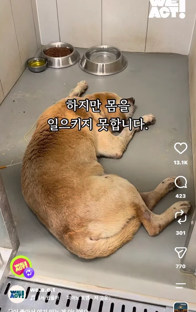 물이 좋아서 여기 있는게 아니예요 현장 사진