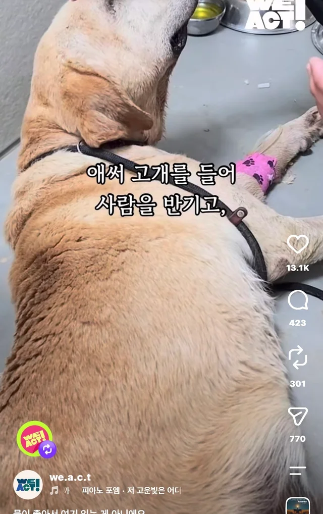 물이 좋아서 여기 있는게 아니예요 현장 사진