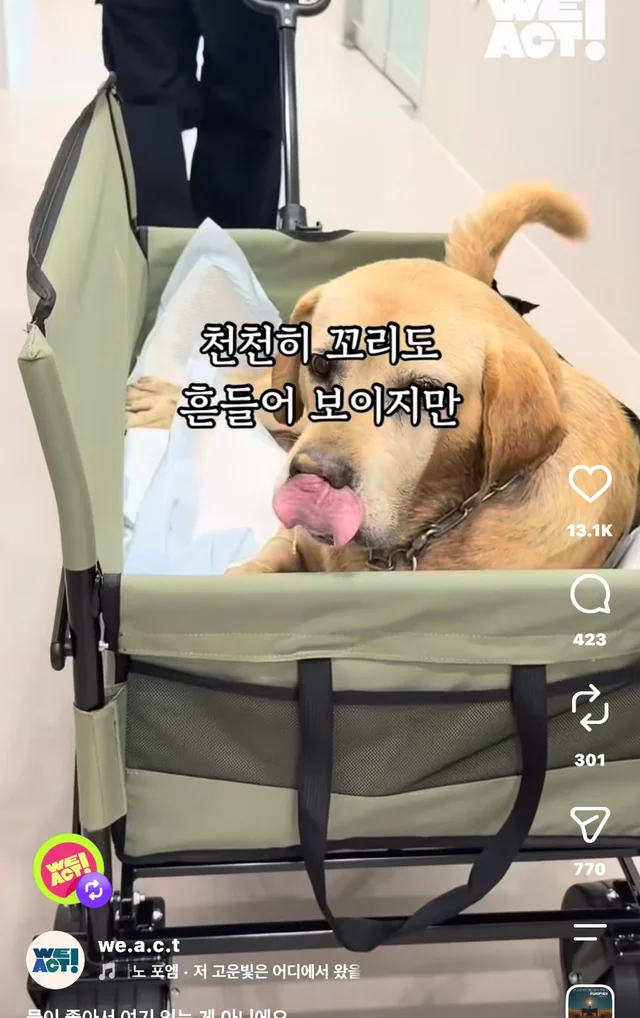 물이 좋아서 여기 있는게 아니예요 현장 사진