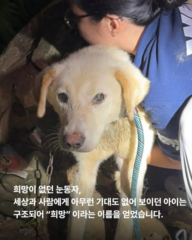 희망아 많이 먹어 그래도 좋아 현장 사진