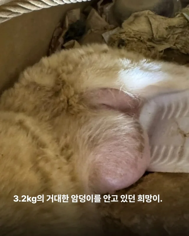희망아 많이 먹어 그래도 좋아 현장 사진