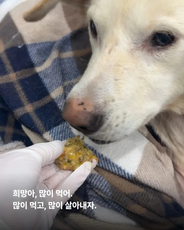 희망아 많이 먹어 그래도 좋아 현장 사진