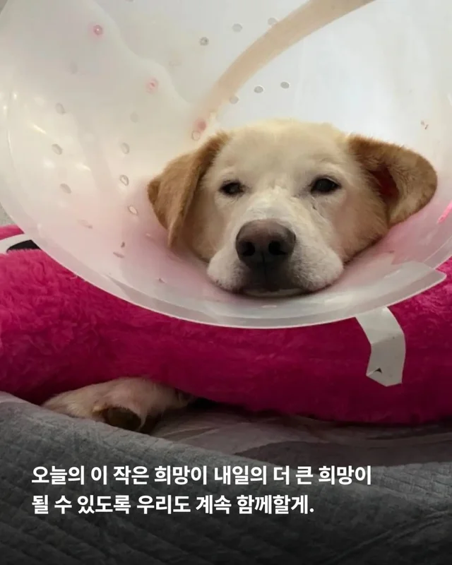 희망아 많이 먹어 그래도 좋아 현장 사진