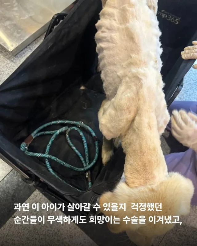 희망아 많이 먹어 그래도 좋아 현장 사진