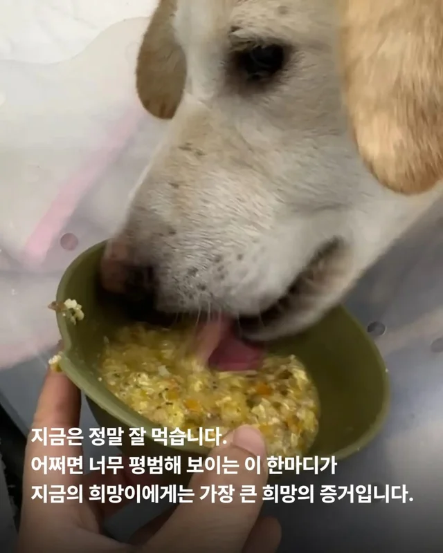 희망아 많이 먹어 그래도 좋아 현장 사진