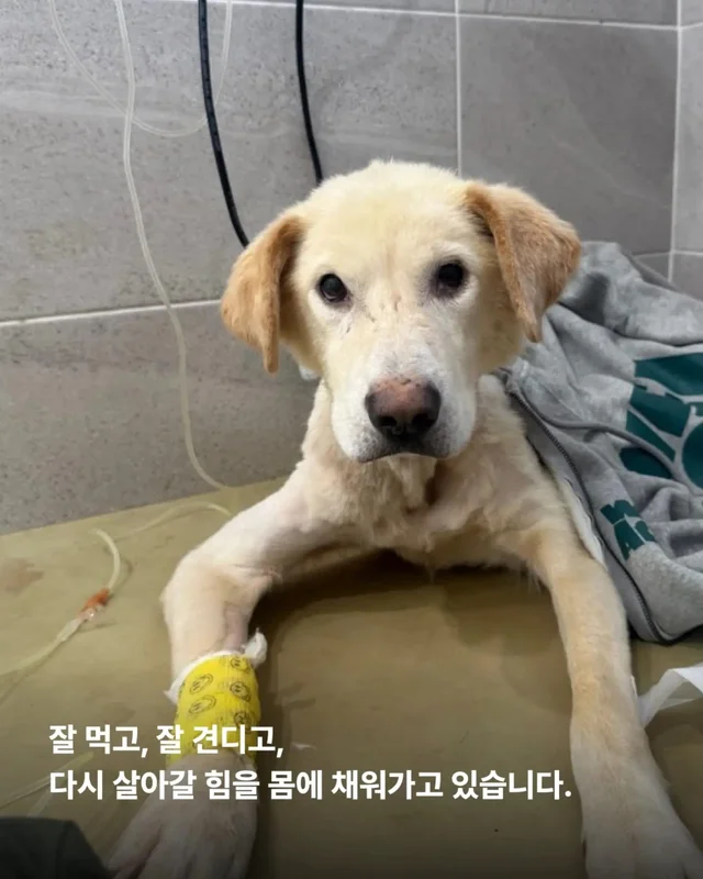 희망아 많이 먹어 그래도 좋아 현장 사진