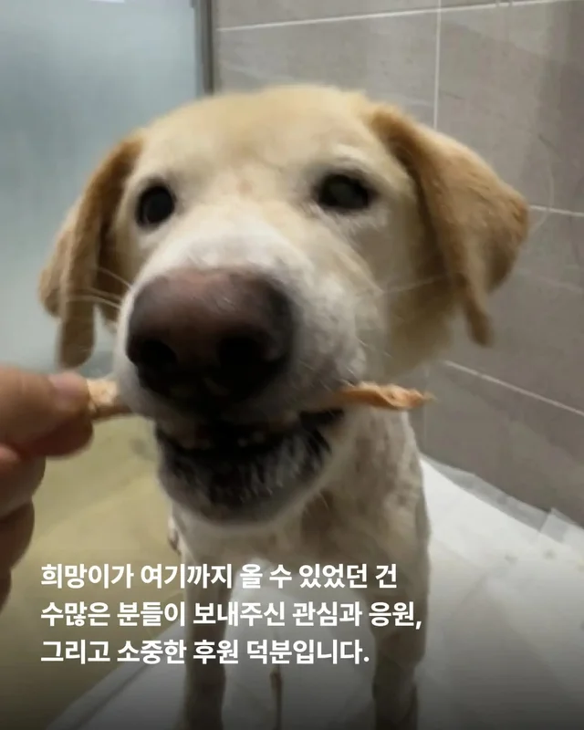 희망아 많이 먹어 그래도 좋아 현장 사진
