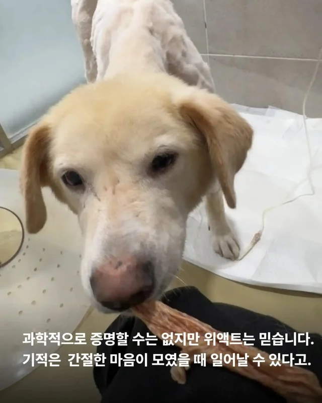 희망아 많이 먹어 그래도 좋아 현장 사진